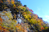 中津峡の紅葉